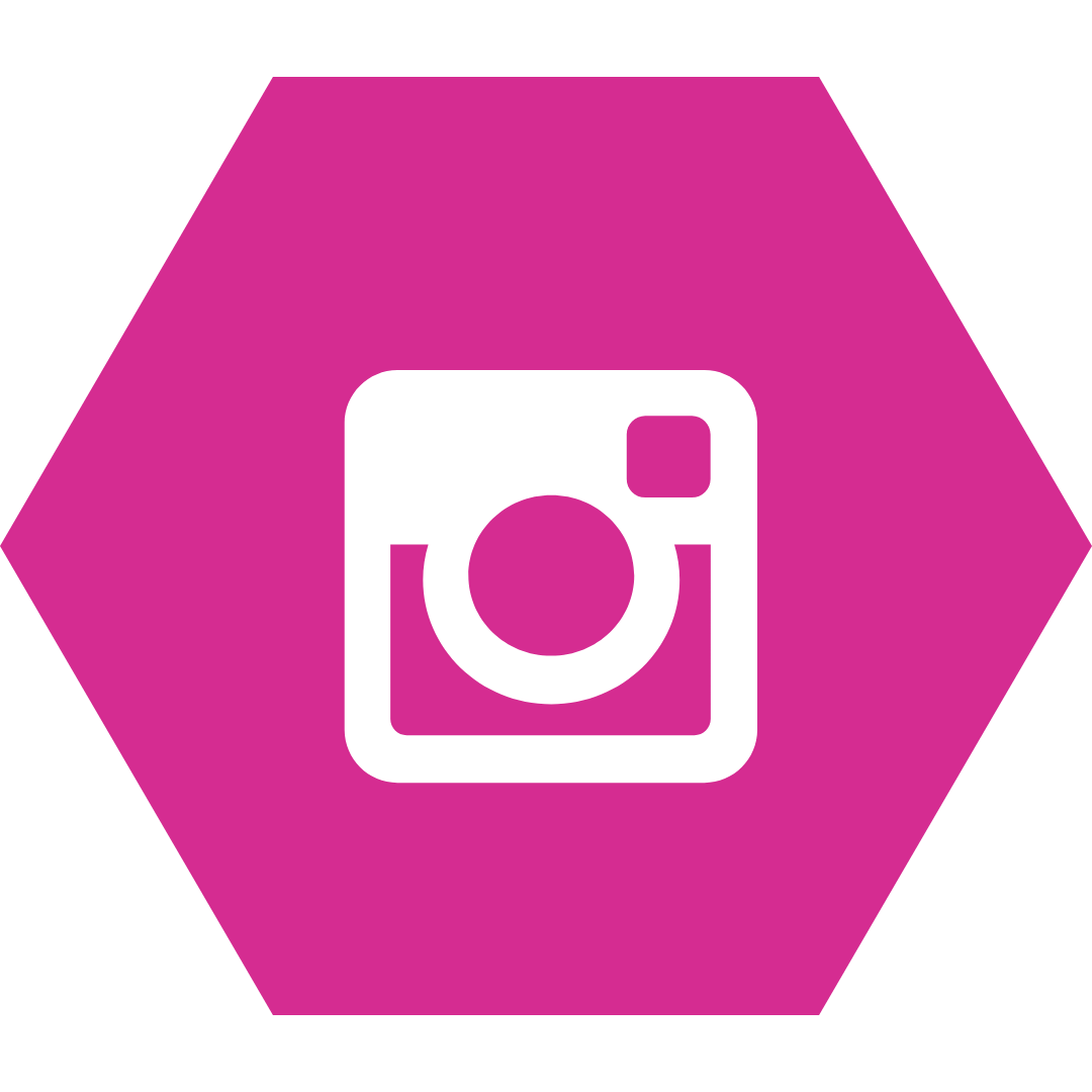 Instagram logo